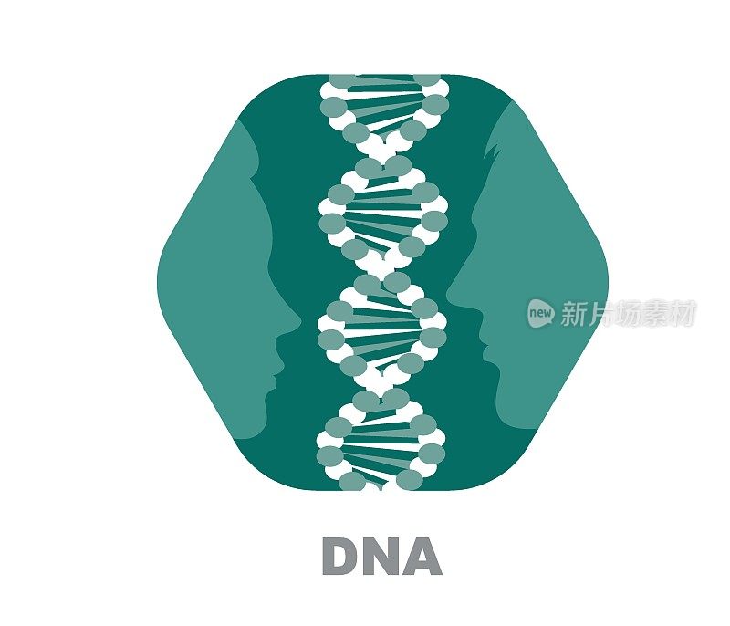 DNA chromosome, outline icon, medical concept.